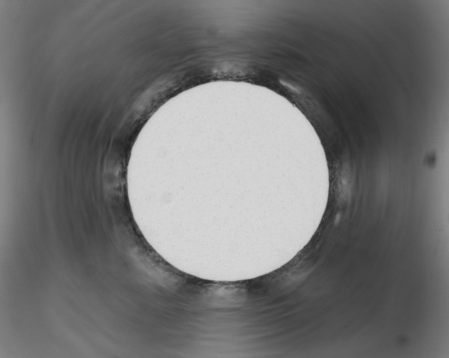 X0000115630619200912221250