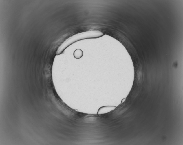 X0000115630620200912221250