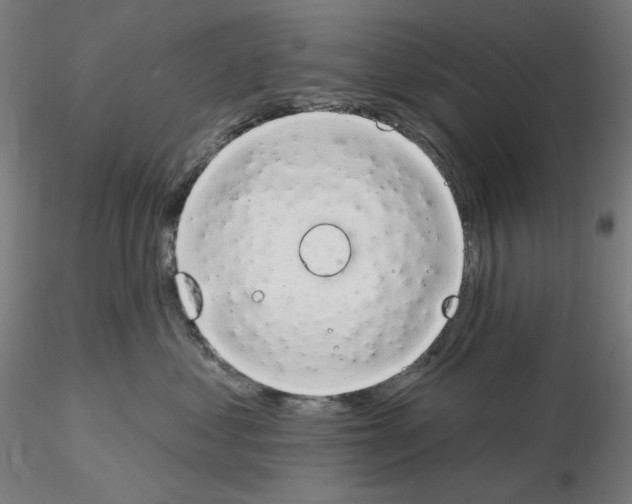 X0000115630621200912221250