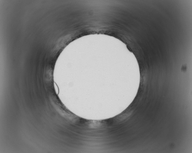 X0000115630623200912221250