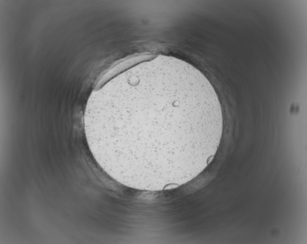 X0000115630624200912221250