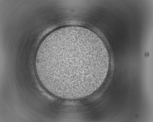 X0000115630625200912221250