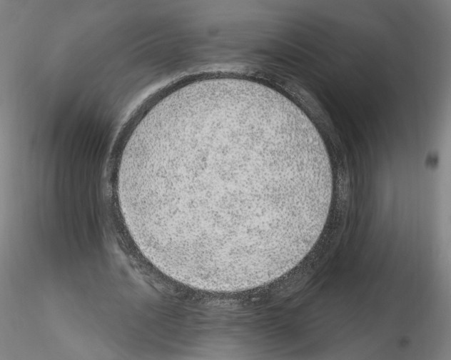 X0000115630628200912221250