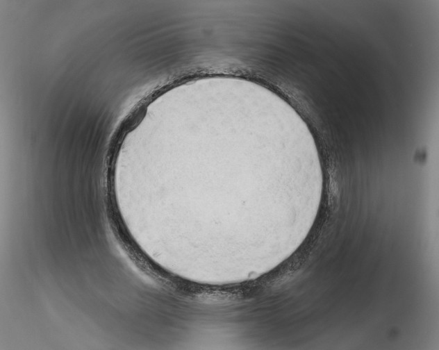 X0000115630630200912221250