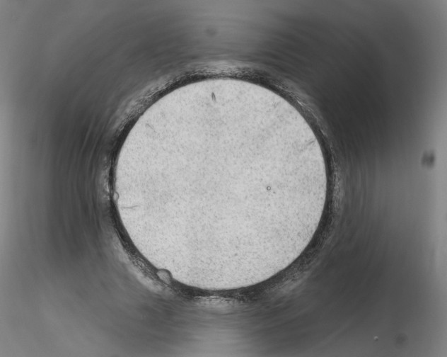X0000115630633200912221250