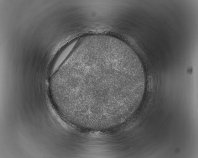 X0000115630634200912221250