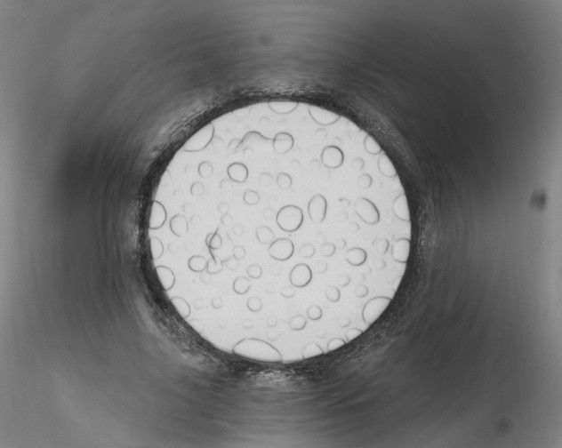 X0000115630635200912221250