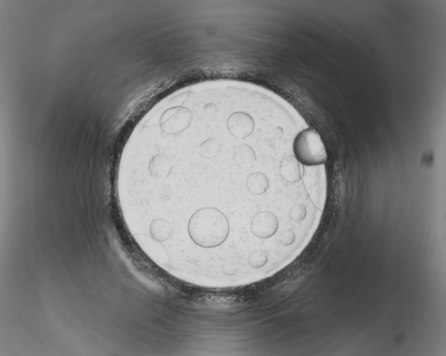 X0000115630638200912221250