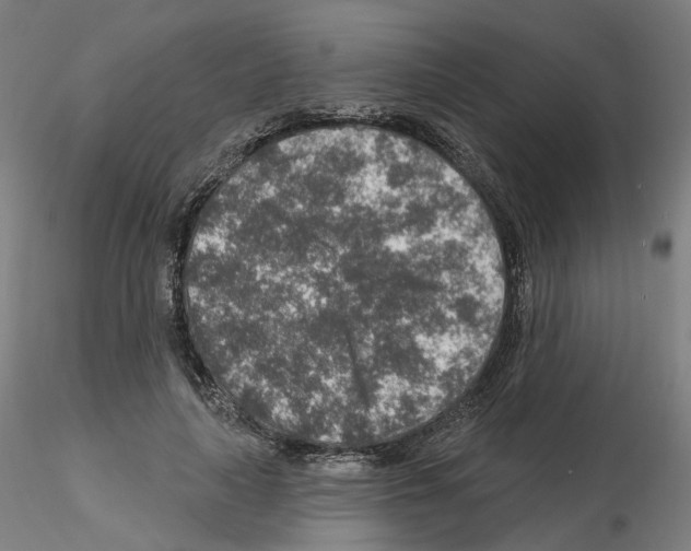 X0000115630643200912221250