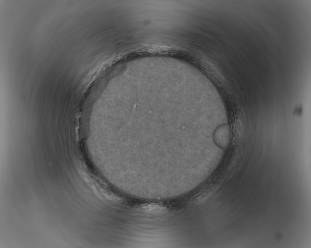 X0000115630644200912221250
