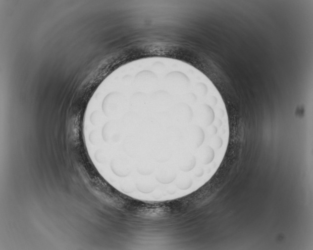 X0000115630646200912221250