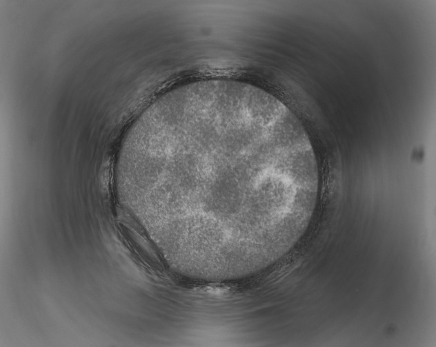 X0000115630647200912221250