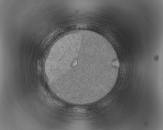 X0000115630648200912221250
