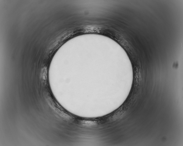 X0000115630649200912221250