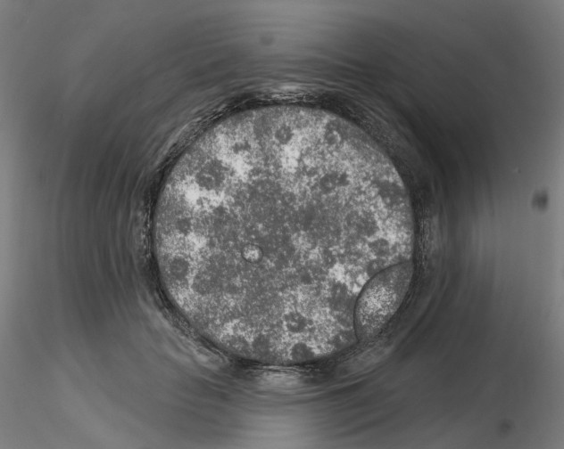 X0000115630653200912221250