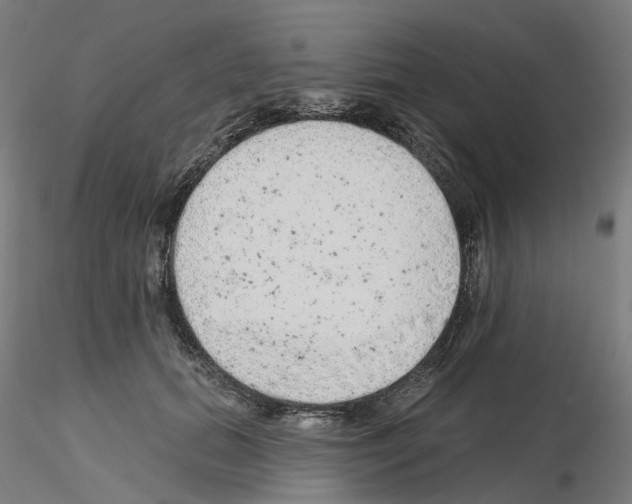X0000115630655200912221250