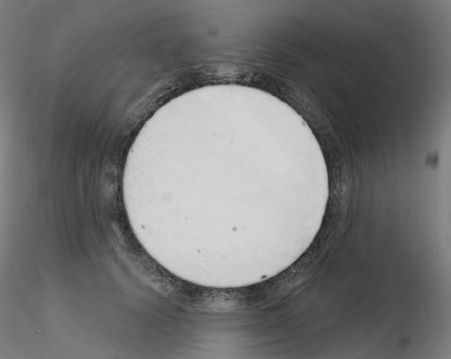 X0000115630656200912221250