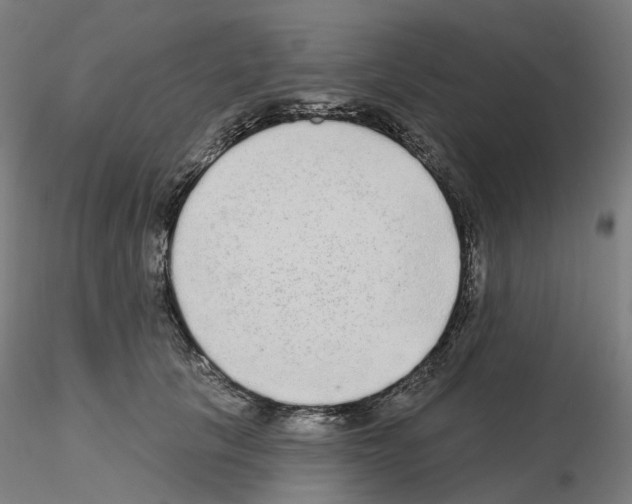 X0000115630657200912221250