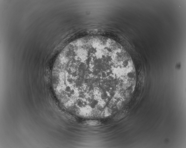 X0000115630659200912221250