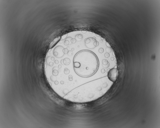 X0000115630662200912221250