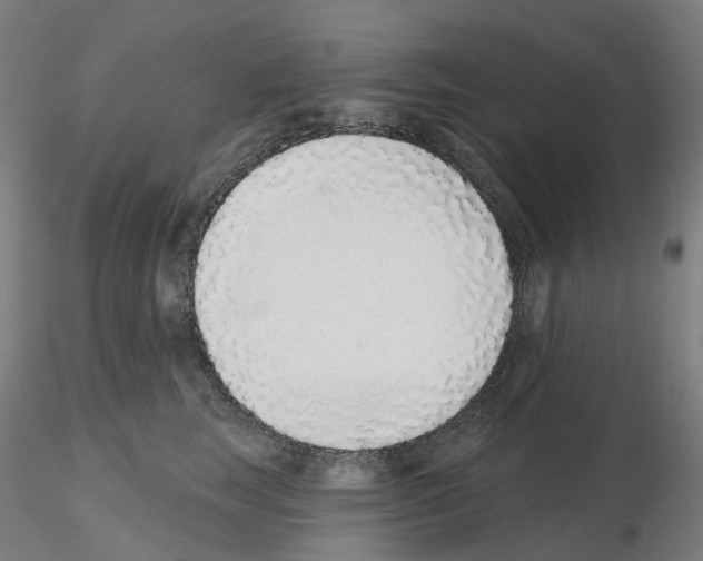X0000115630663200912221250