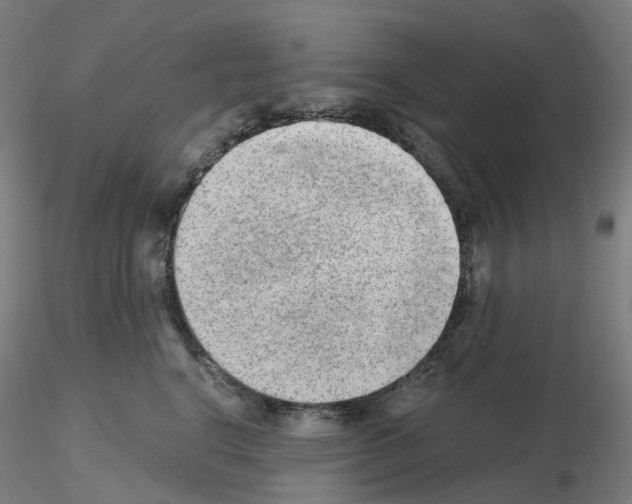 X0000115630664200912221250