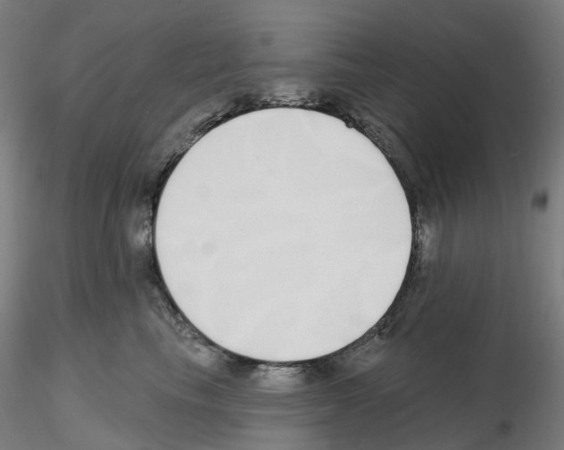 X0000115630665200912221250