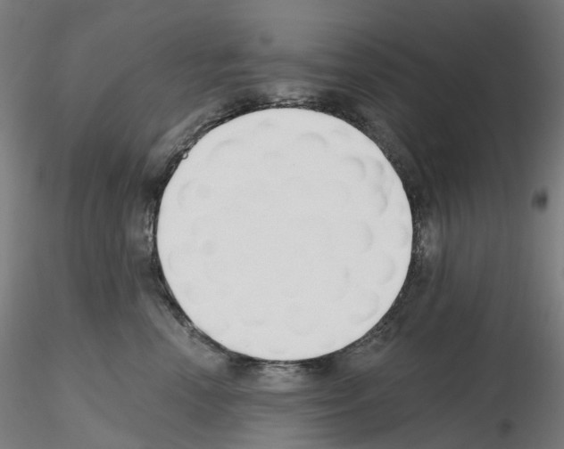 X0000115630666200912221250