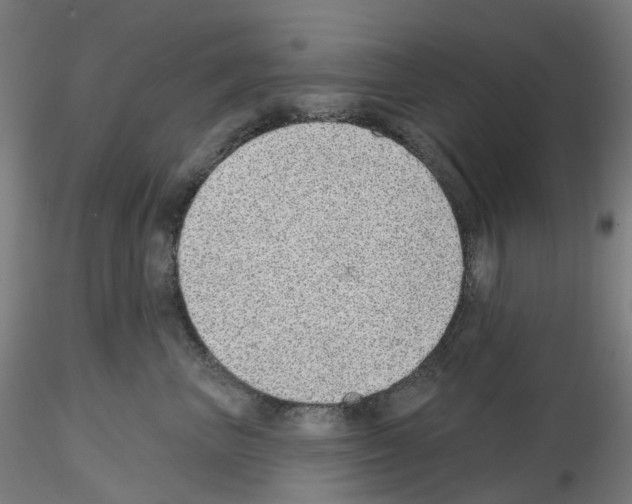 X0000115630667200912221250