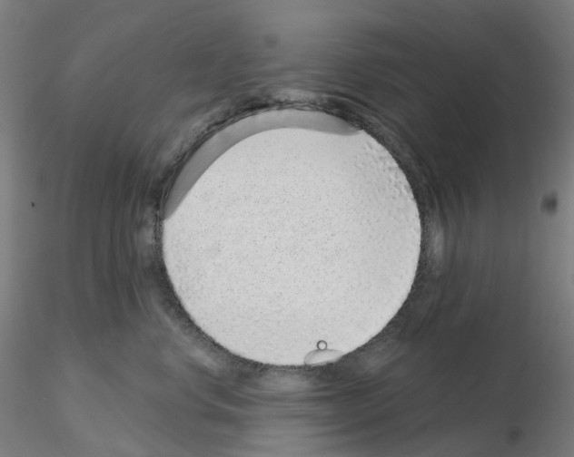 X0000115630668200912221250