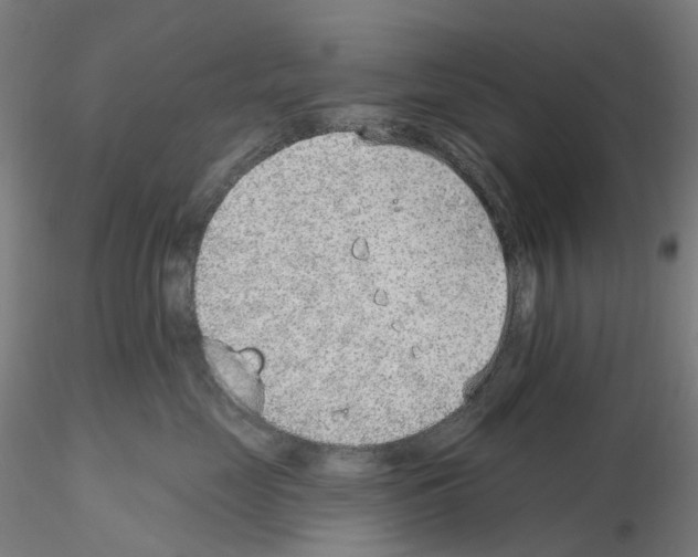 X0000115630669200912221250