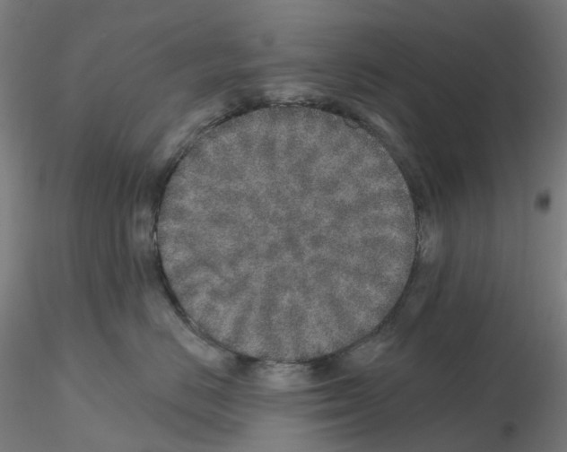 X0000115630670200912221250