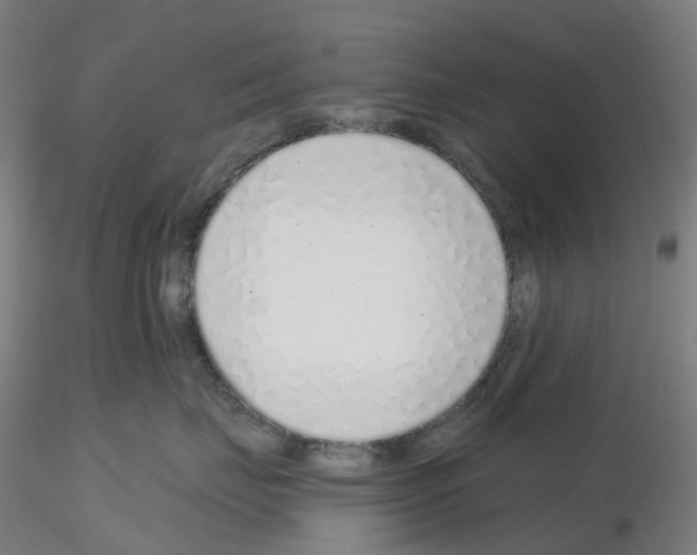 X0000115630671200912221250