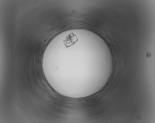 X0000115630672200912221250