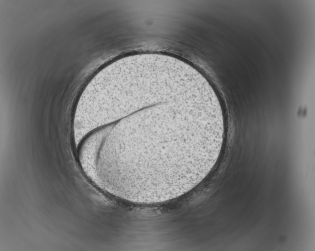 X0000115630673200912221250