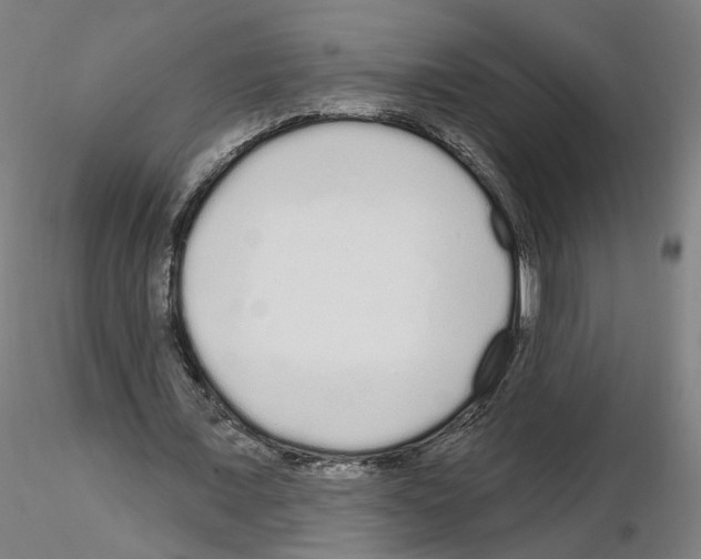 X0000115630675200912221250