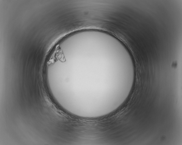 X0000115630676200912221250