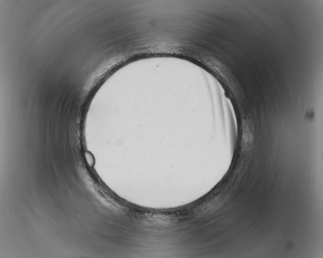 X0000115630677200912221250