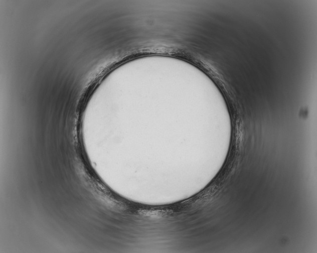 X0000115630679200912221249