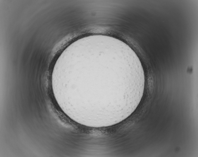 X0000115630682200912221249