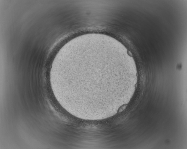 X0000115630684200912221249