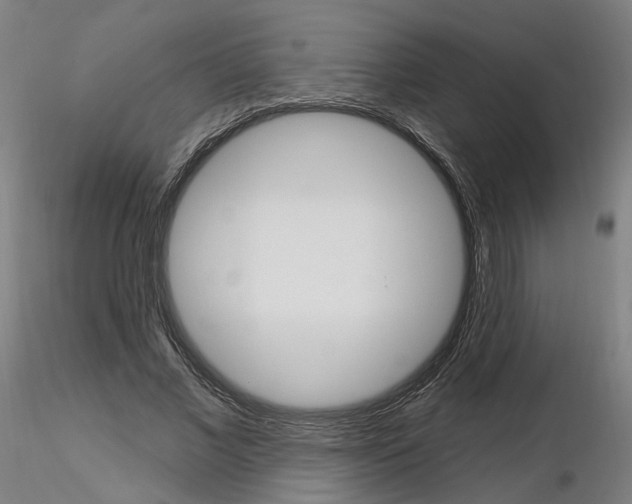 X0000115630685200912221249