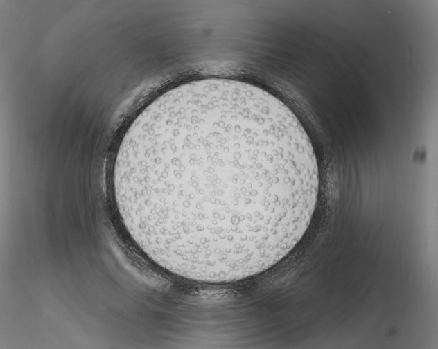 X0000115630686200912221249