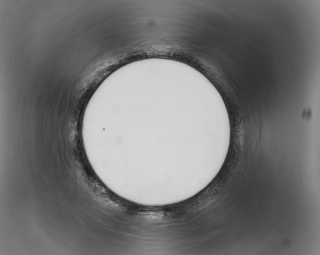 X0000115630687200912221249