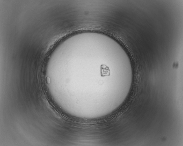 X0000115630688200912221249