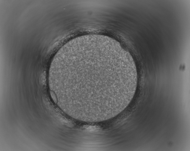 X0000115630689200912221249
