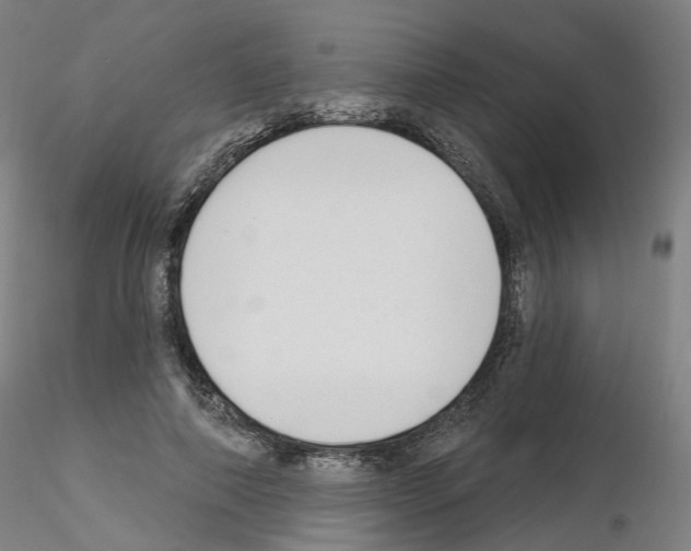X0000115630690200912221249