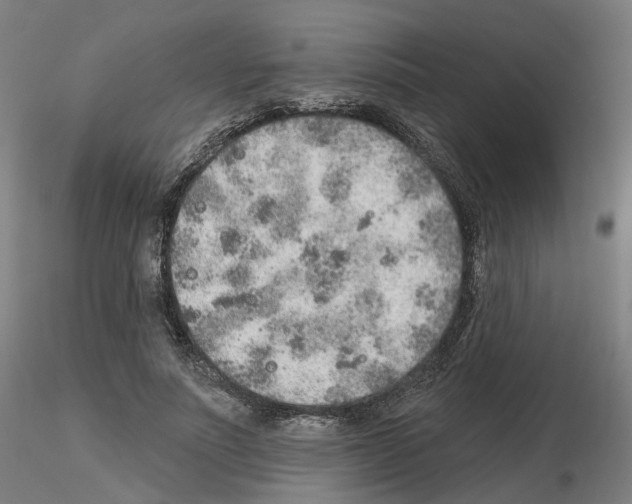 X0000115630691200912221249