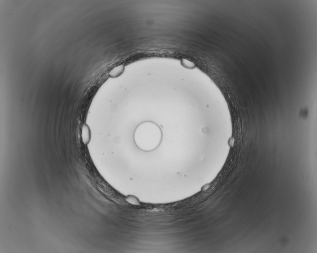 X0000115630692200912221249