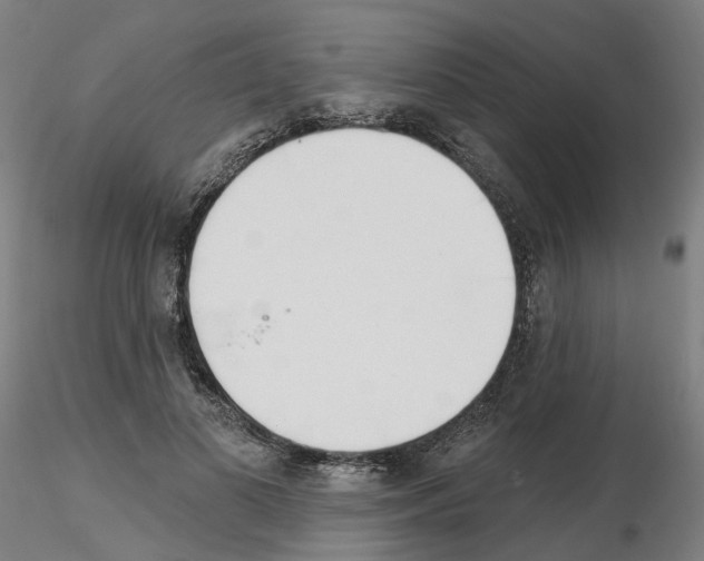 X0000115630693200912221249
